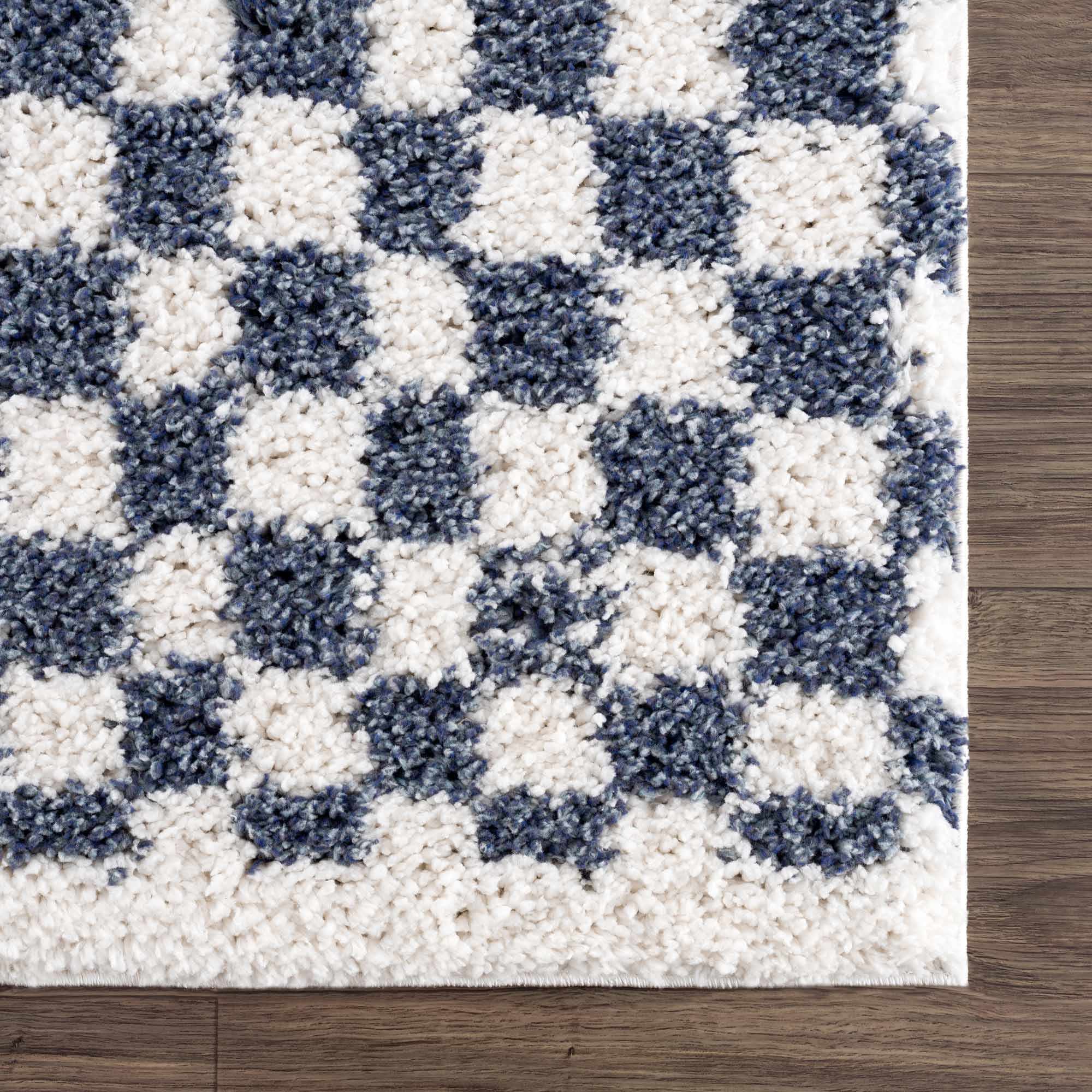 Exquisite Kieu Blue & White Checkered Area Rug