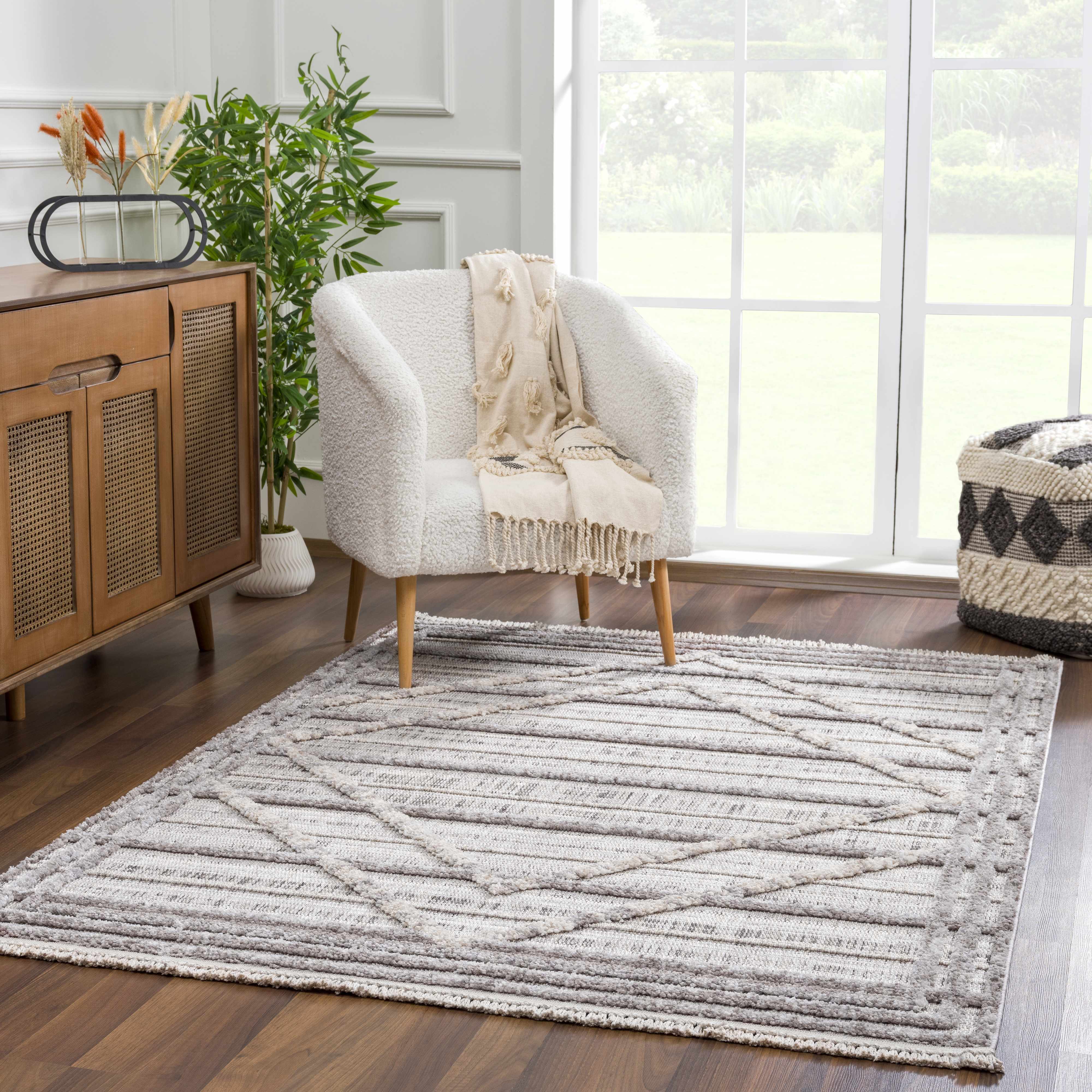 Exclusive Hauteloom Barurao Area Rug - Grab This Clearance Deal Now!