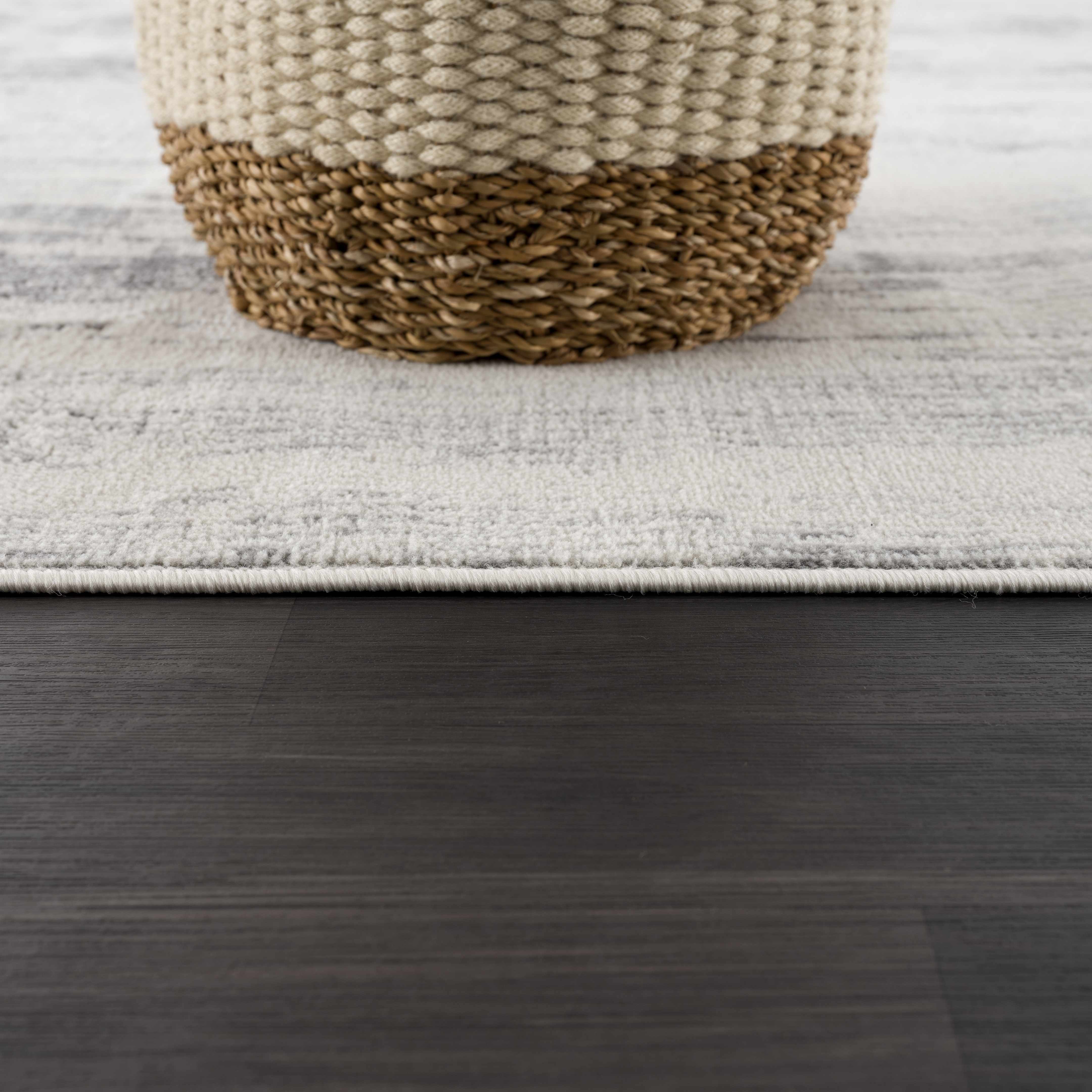 Exquisite Hauteloom Tigrima Ivory & Gray Area Rug