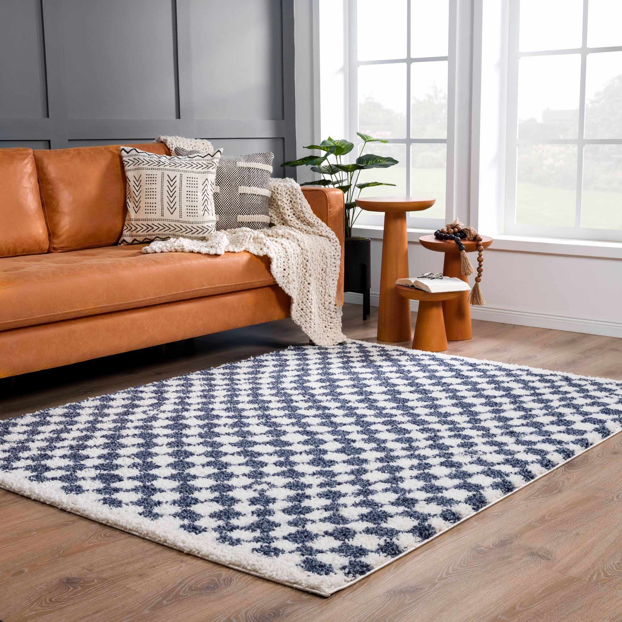 Exquisite Kieu Blue & White Checkered Area Rug