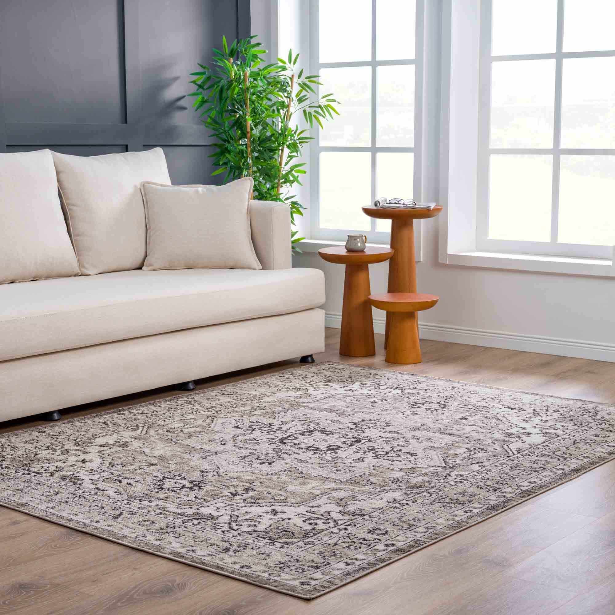 Grab Your Dreamy Hauteloom Albie Beige Area Rug - Clearance Now!