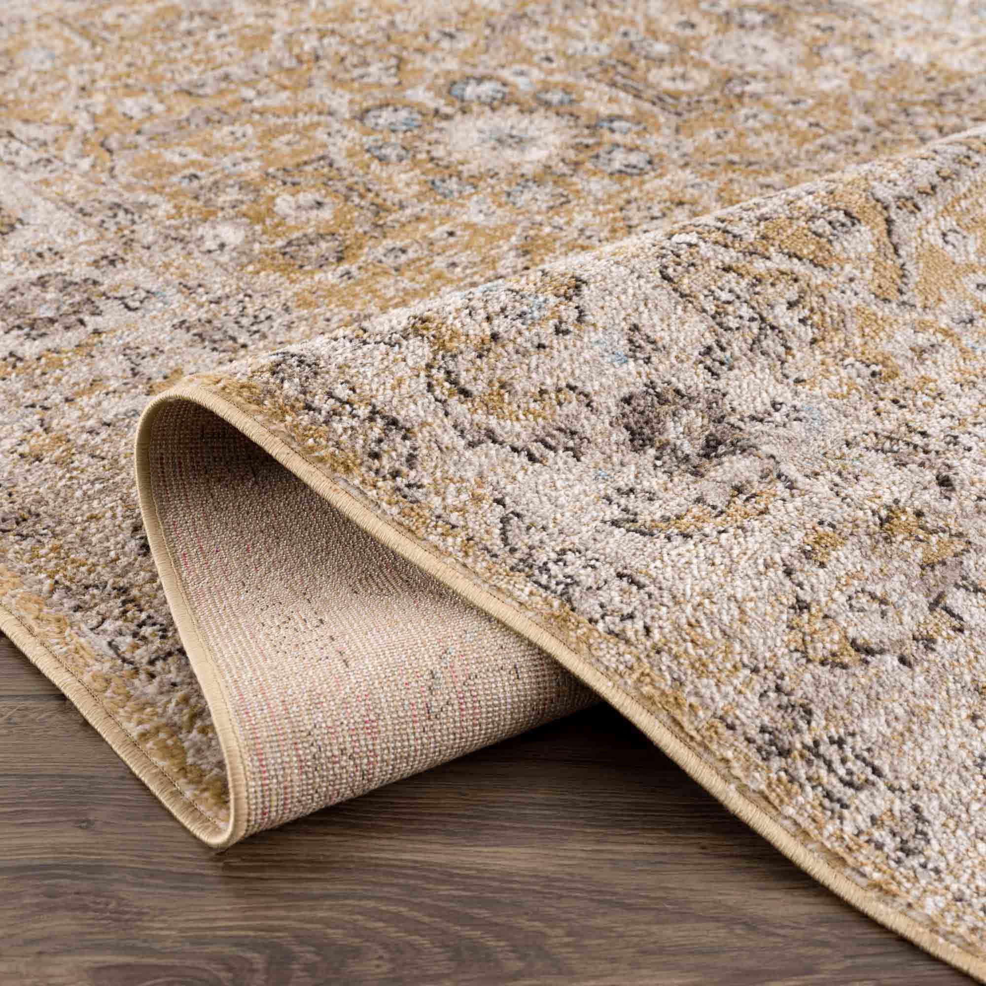 Hauteloom Anana Gold & Beige Area Rug - Grab This Clearance Deal Now!