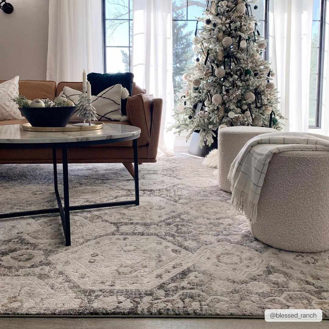 Stunning Hauteloom Minoa Area Rug