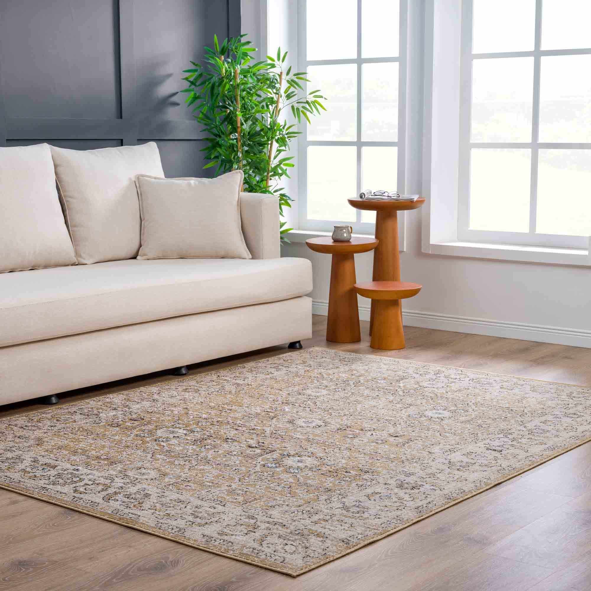 Hauteloom Anana Gold & Beige Area Rug - Grab This Clearance Deal Now!