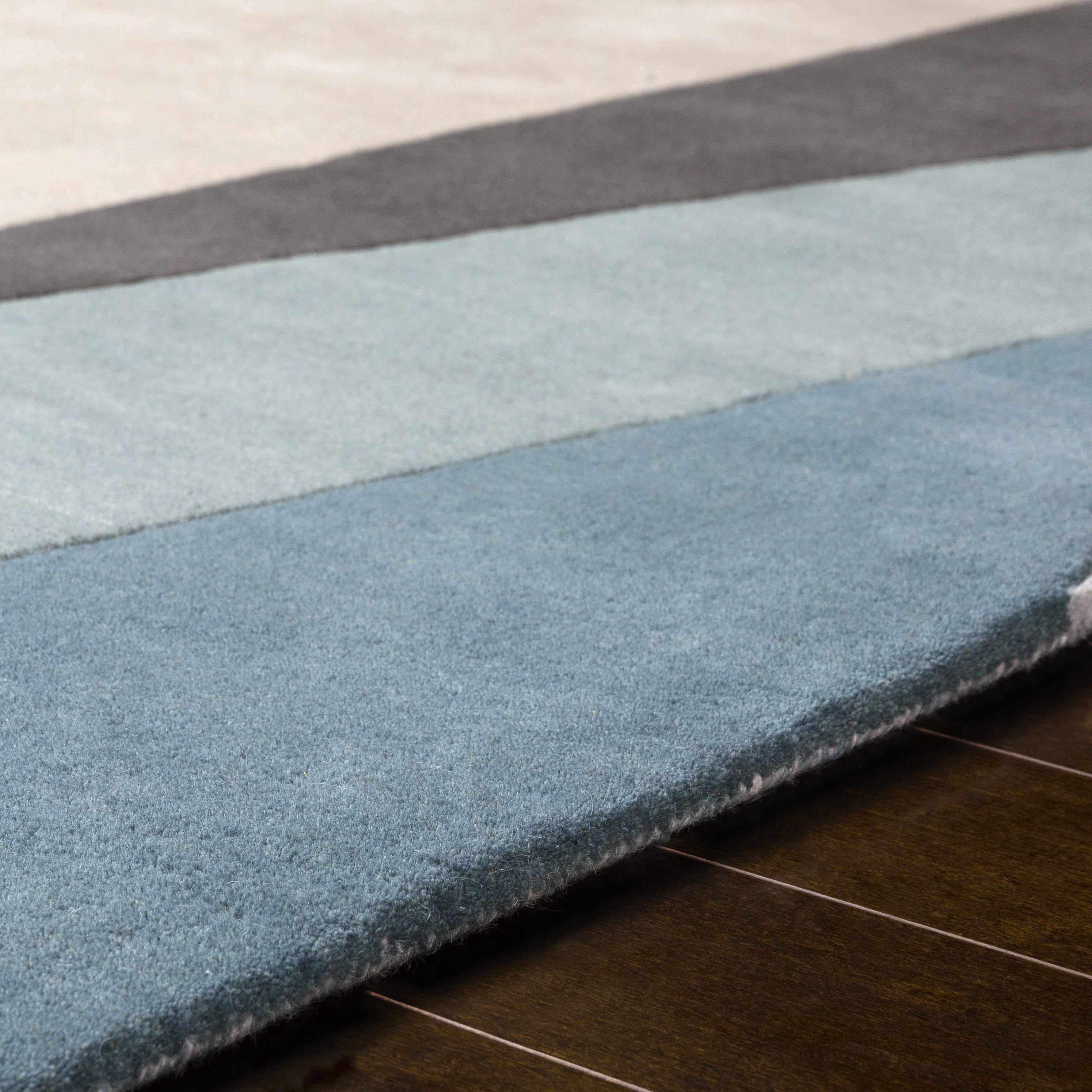 Luxurious Hauteloom Salida Wool Area Rug