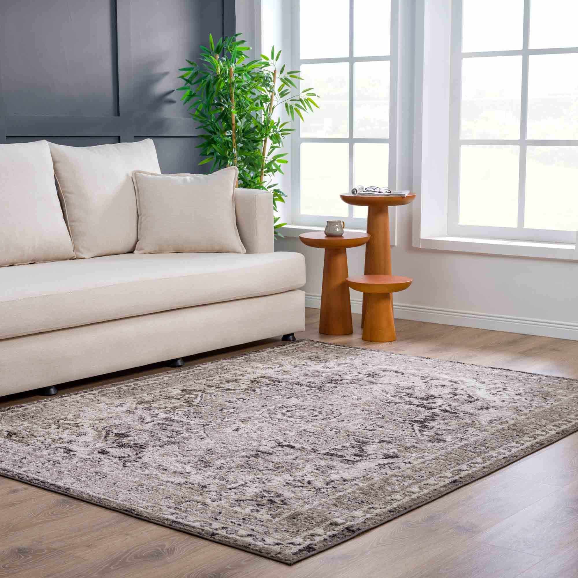 Grab Your Hauteloom Albie Charcoal & Beige Area Rug - Clearance Now!