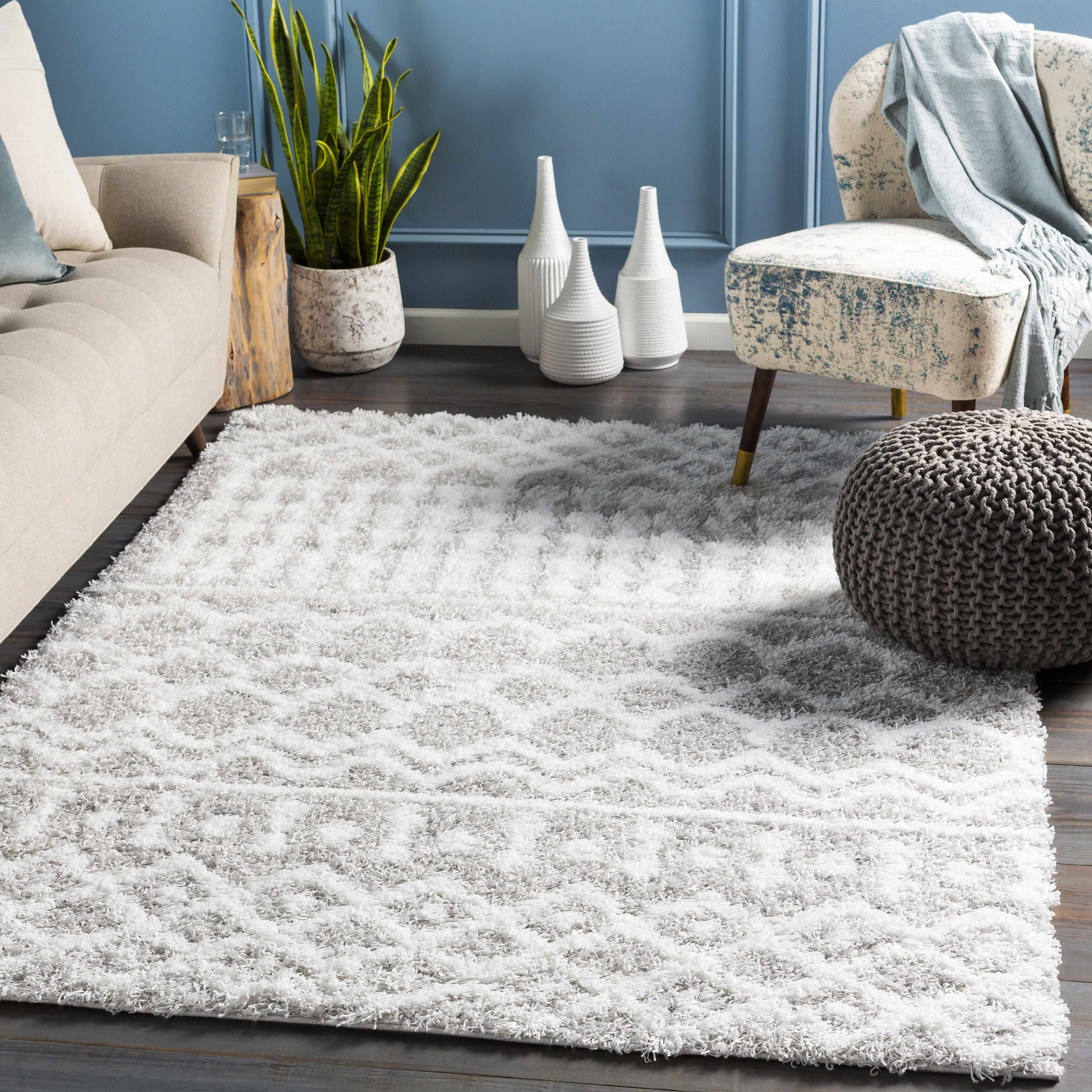Exquisite Hauteloom Vernonburg Shag Area Rug