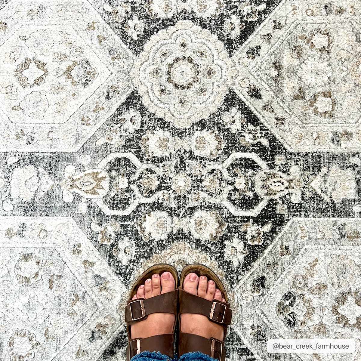 Stunning Hauteloom Minoa Area Rug