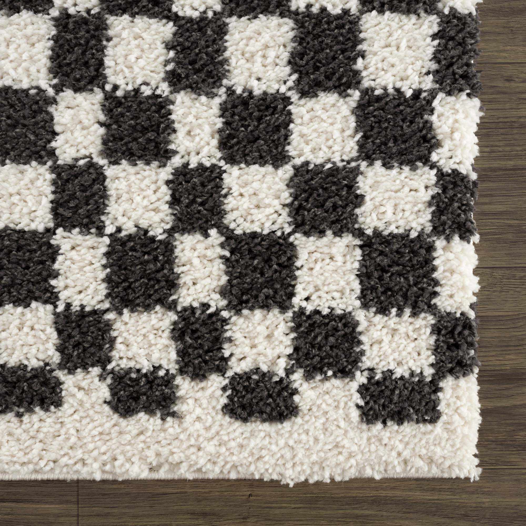 Stunning Hauteloom Kieu Black & White Checkered Area Rug