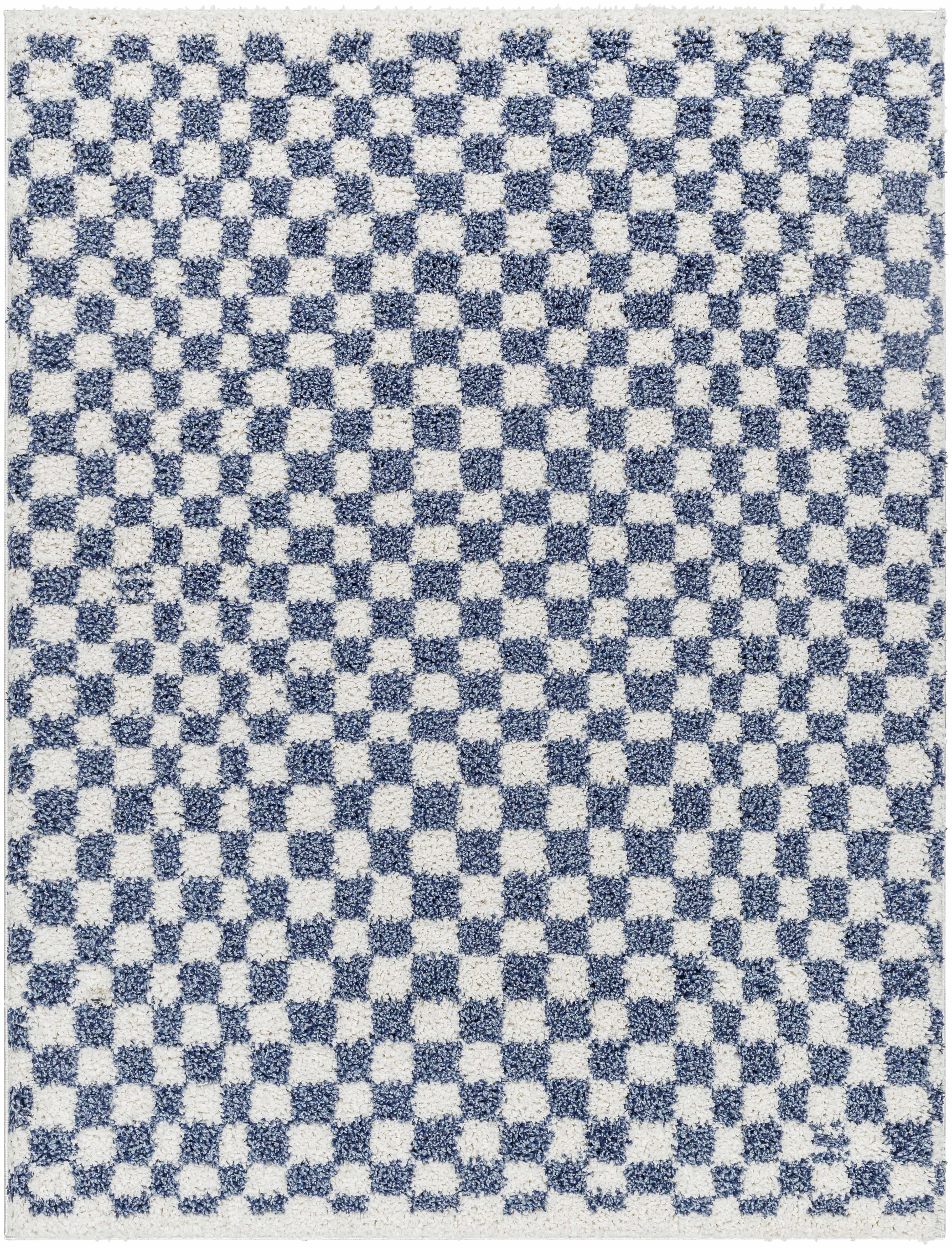 Exquisite Kieu Blue & White Checkered Area Rug
