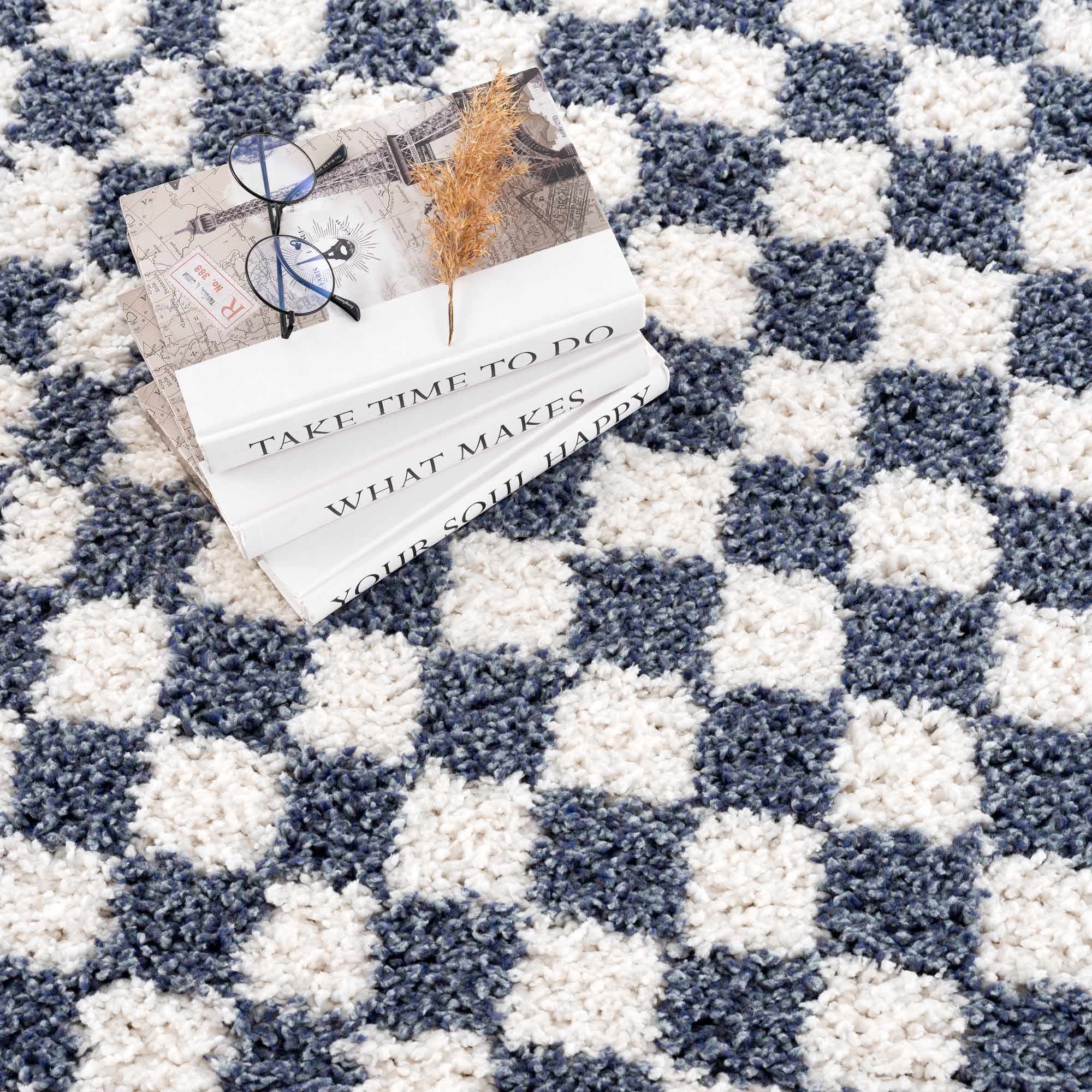 Exquisite Kieu Blue & White Checkered Area Rug