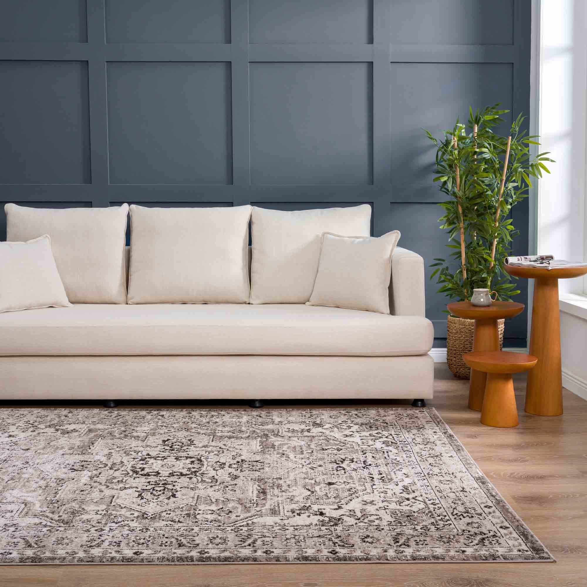 Grab Your Dreamy Hauteloom Albie Beige Area Rug - Clearance Now!