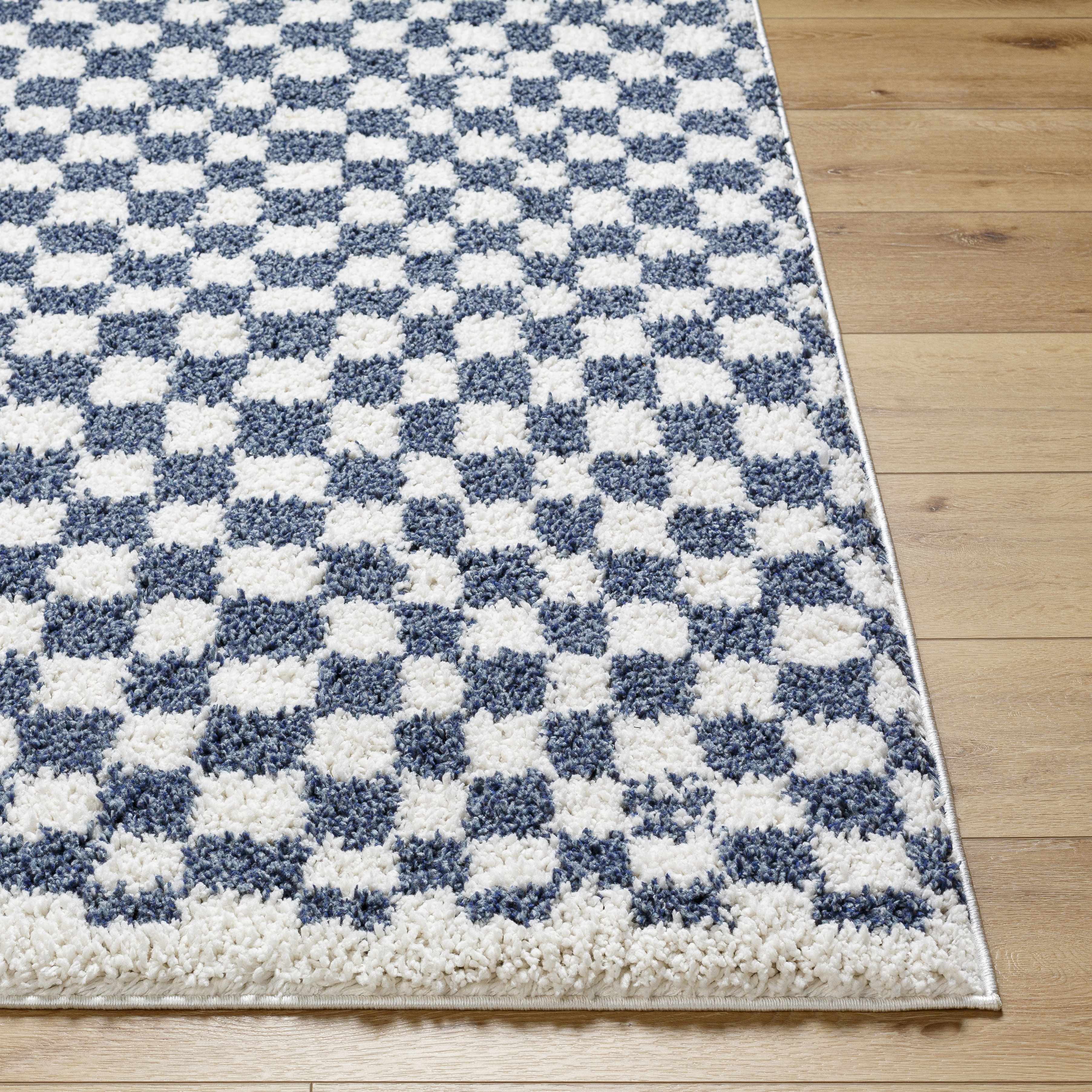 Exquisite Kieu Blue & White Checkered Area Rug