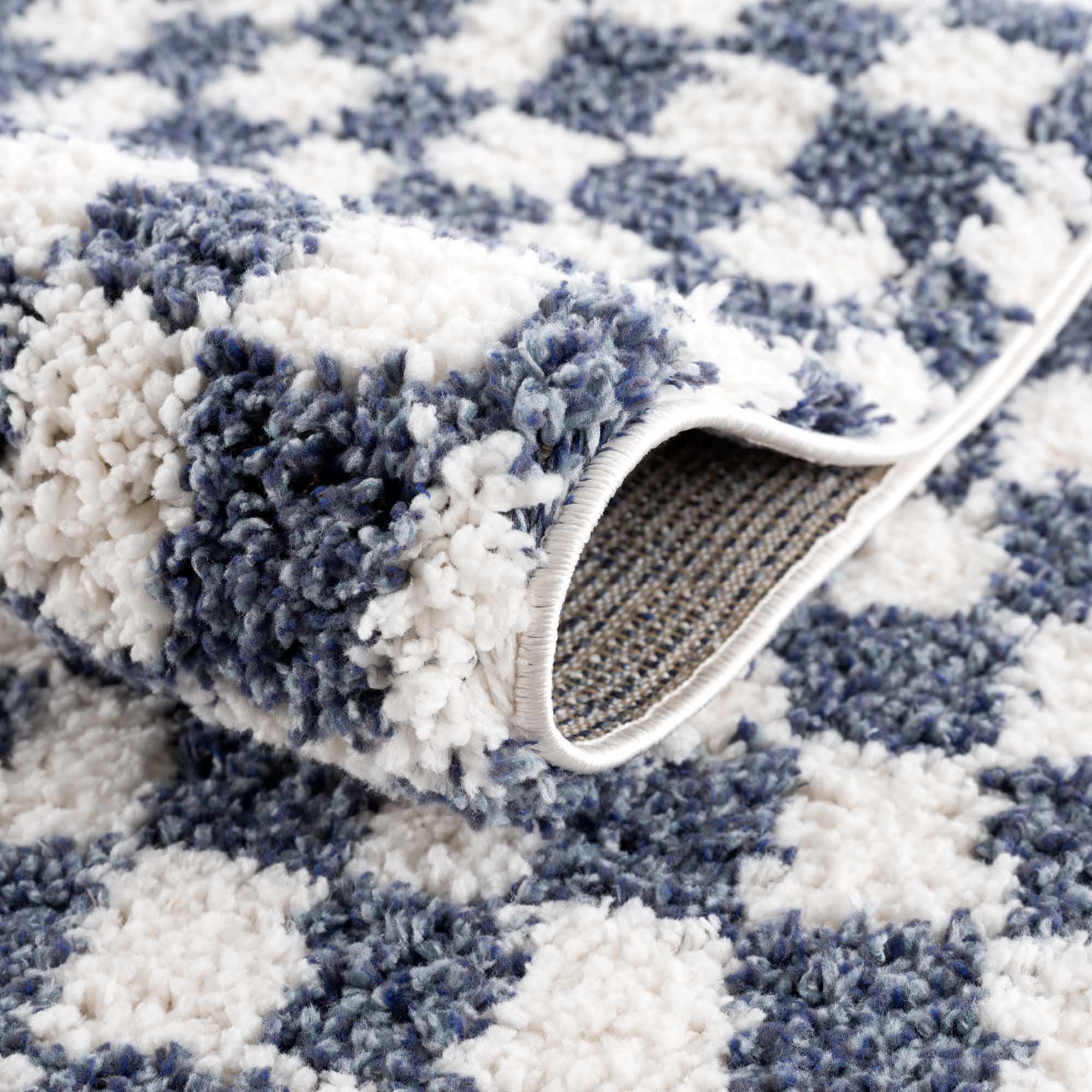 Exquisite Kieu Blue & White Checkered Area Rug