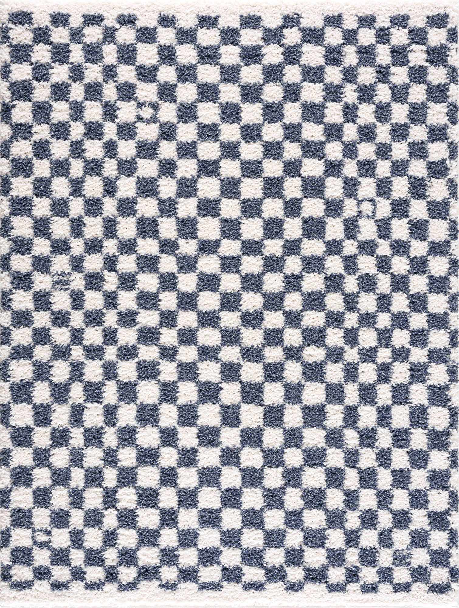 Exquisite Kieu Blue & White Checkered Area Rug