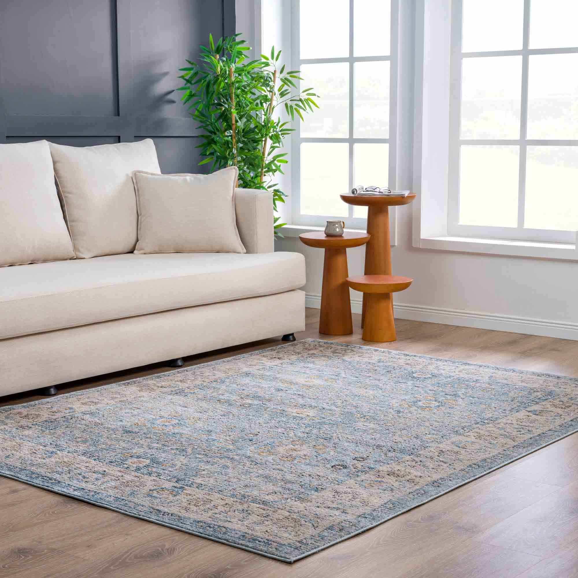 Hauteloom Anana Silver Blue & Beige Area Rug - Grab This Clearance Deal Now!