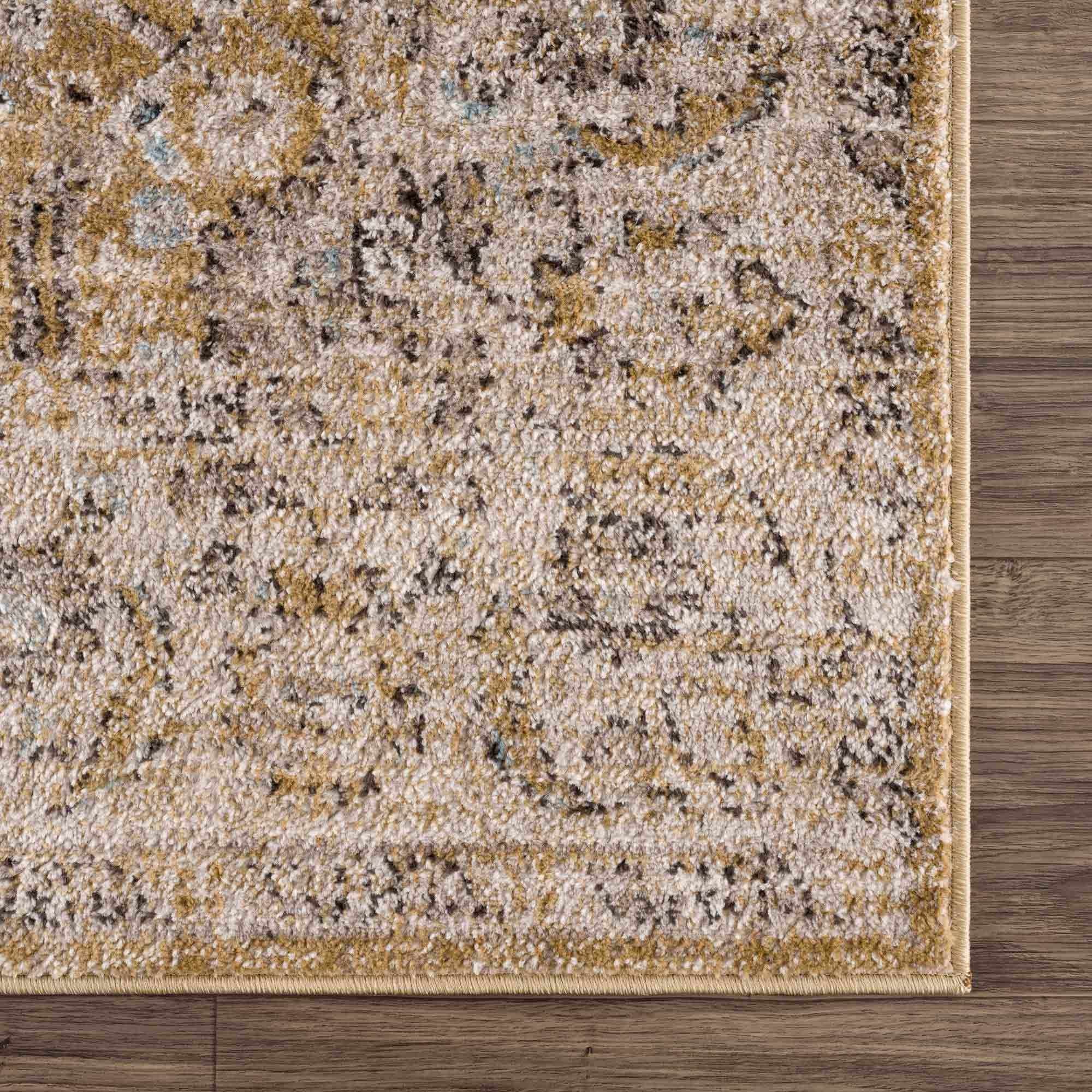 Hauteloom Anana Gold & Beige Area Rug - Grab This Clearance Deal Now!