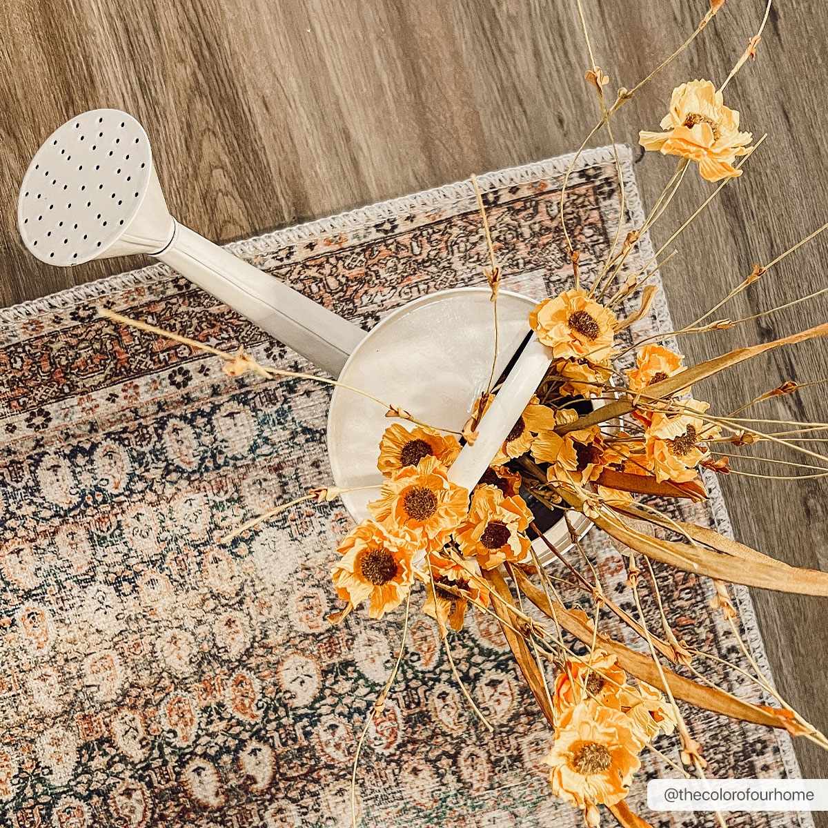 Hauteloom Rust Maligaya Distressed Washable Area Rug - Transform Your Space