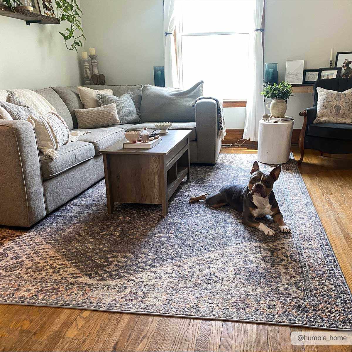 Luxurious Hauteloom Seok Washable Area Rug