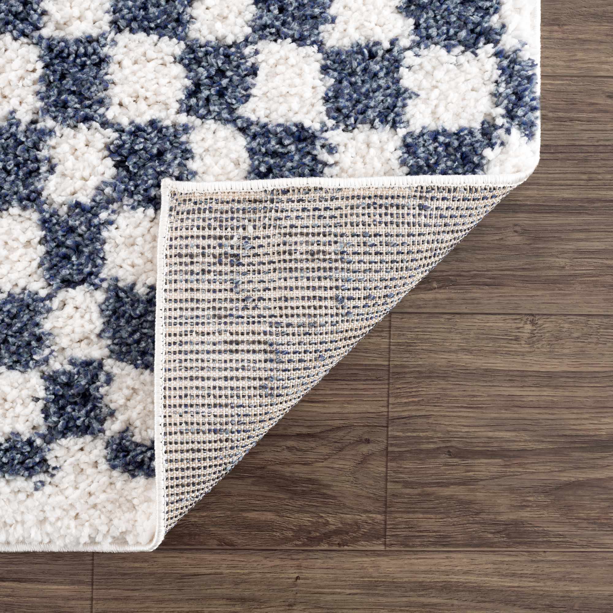 Exquisite Kieu Blue & White Checkered Area Rug