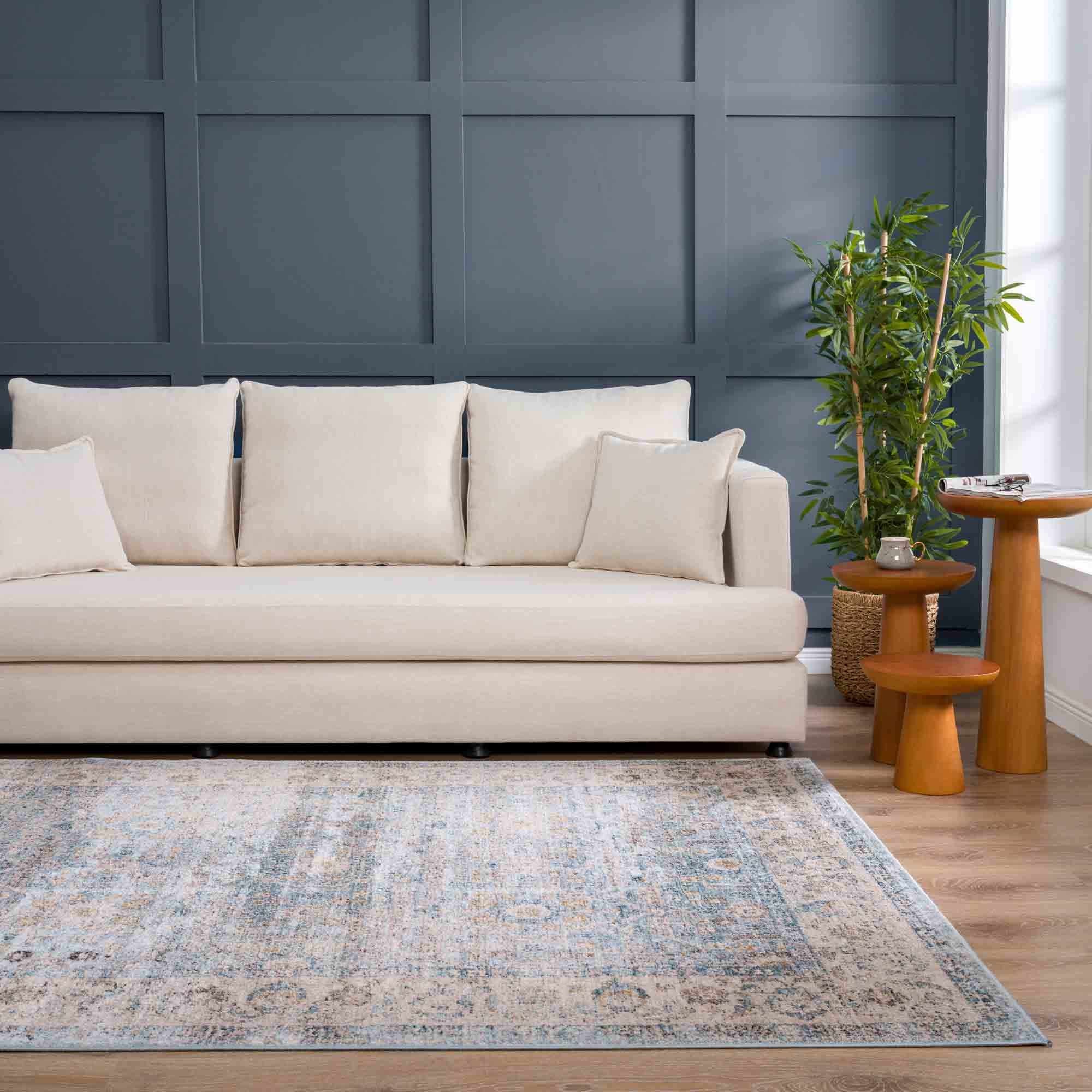 Hauteloom Anana Silver Blue & Beige Area Rug - Grab This Clearance Deal Now!