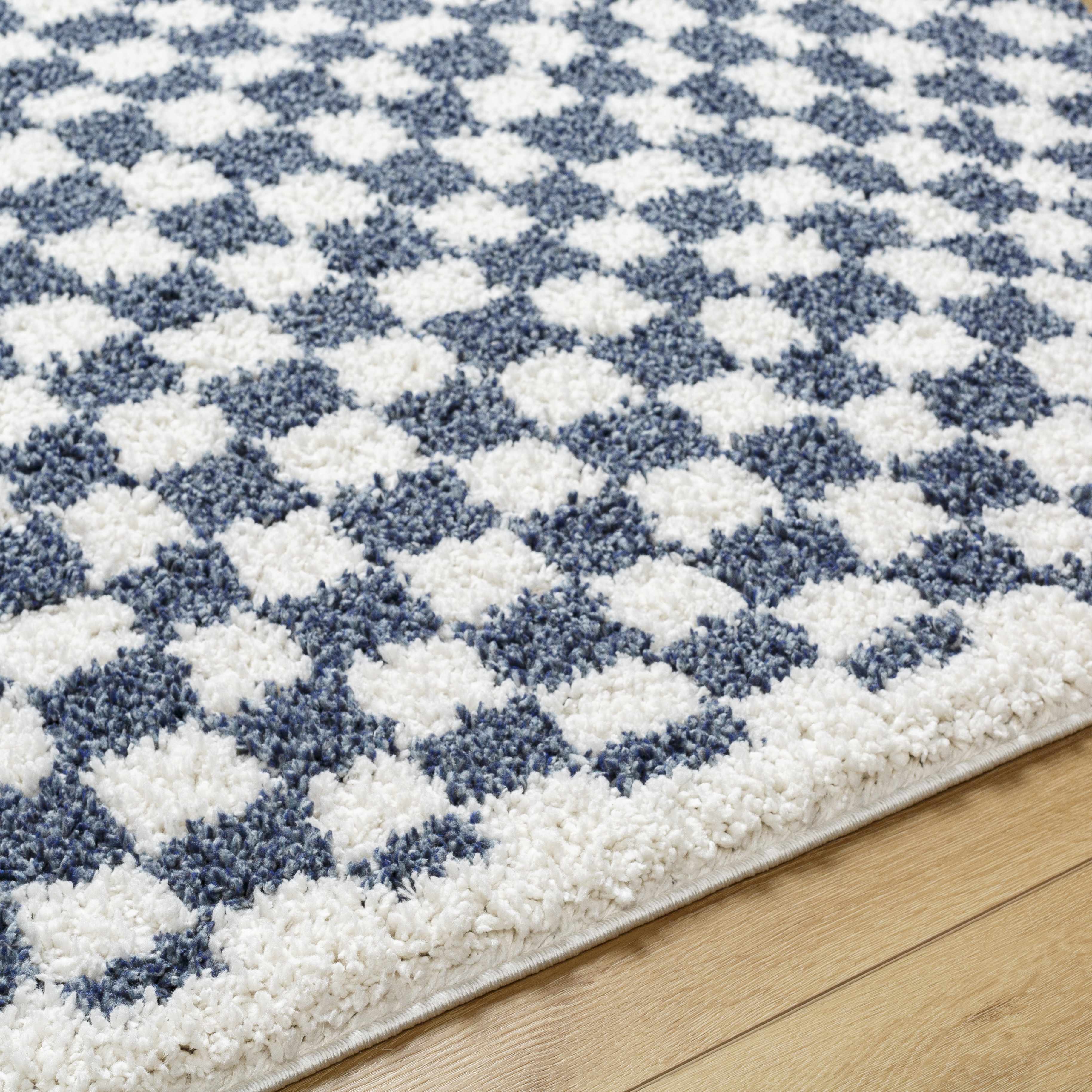 Exquisite Kieu Blue & White Checkered Area Rug