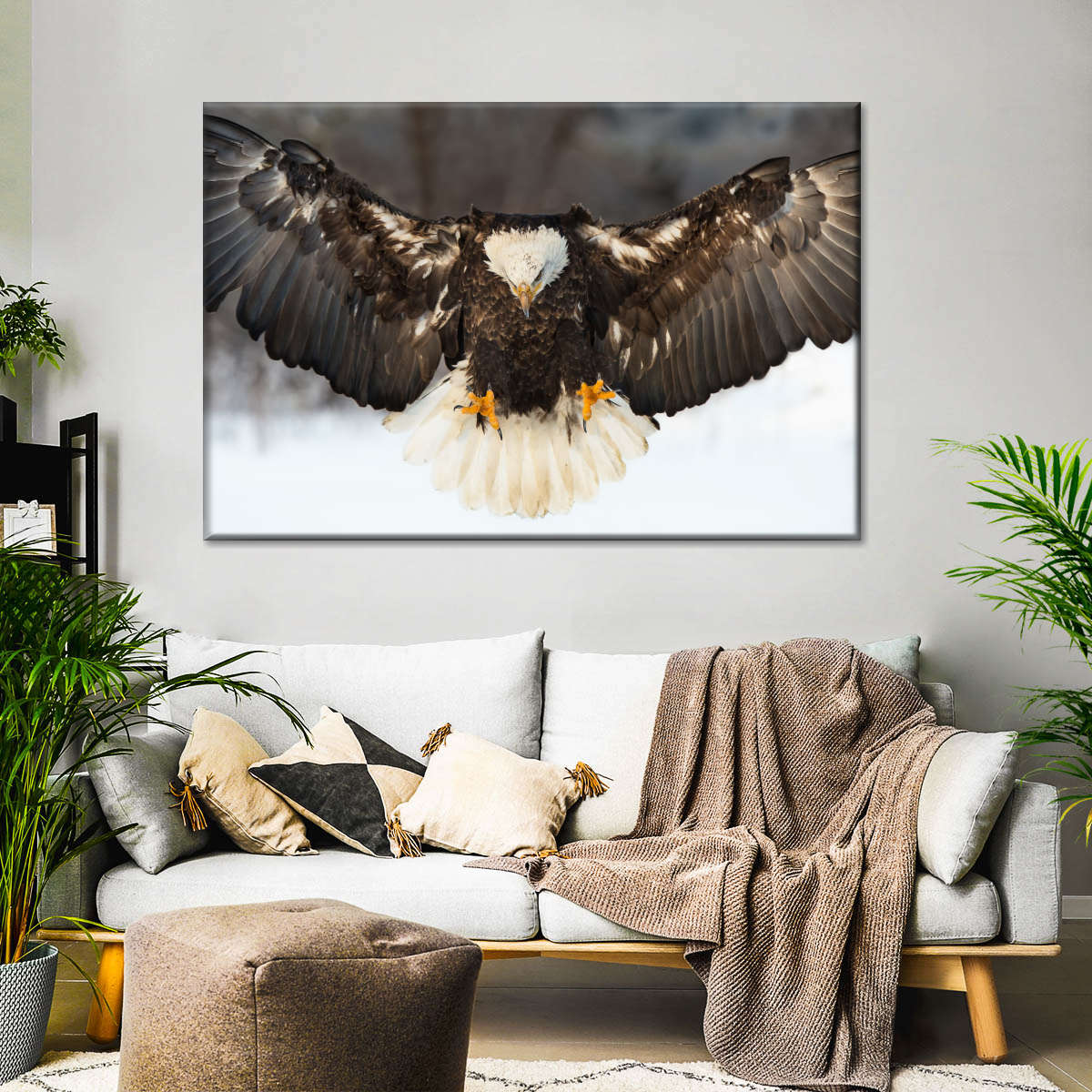Majestic Bald Eagle Landing Wall Art